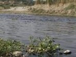Polluted Najafgarh drain before it joins Yamuna. (HT Archive)