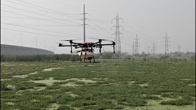 A drone sprays insecticides over an area inaccessible to field workers. (HT Photo) A drone sprays insecticides over an area inaccessible to field workers. (HT Photo)