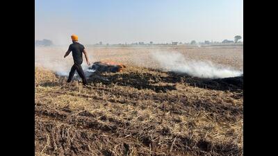 A farmer burning straw stubble at a field in Dera Bassi. A senior officer said that out of the total 27 farm fire cases, almost 19 were reported in Dera Bassi, Mohali. (HT Photo)
