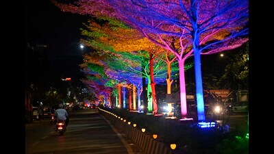 For instance, it can disrupt a tree’s natural day-night cycle, potentially affecting its growth and reproductive patterns. (HT PHOTO)