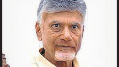 N Chandrababu Naidu (PTI) N Chandrababu Naidu (PTI)
