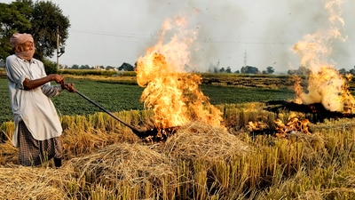 A farmer burns stubble at a paddy field, on the outskirts of Amritsar (File image) (PTI) A farmer burns stubble at a paddy field, on the outskirts of Amritsar (File image) (PTI)