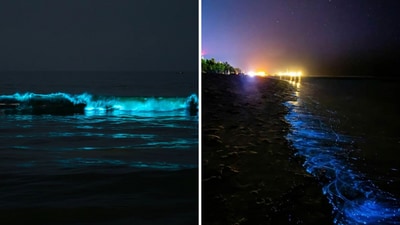 Stunning bioluminescence waves were seen at the East Coast Road (ECR) beach in Chennai. (X/@gemsofbabus_) Stunning bioluminescence waves were seen at the East Coast Road (ECR) beach in Chennai. (X/@gemsofbabus_)
