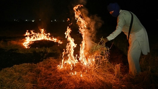 A farmer burns straw stubble after a harvest, at a paddy field on the outskirts of Amritsar (AFP)