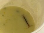 The Railways passenger found a live centipede floating in his raita.