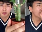 A Japanese man's mimicry of SRK is going viral on Instagram.
