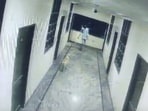 CCTV footage shows Uday stepping out of his room and encountering a dog in the hotel corridor CCTV footage shows Uday stepping out of his room and encountering a dog in the hotel corridor