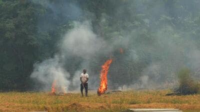 A farmer setting fire to stubble after harvesting the paddy crop. The Haryana agriculture department suspended 24 officials amid rising stubble burning incidents in their respective areas on Tuesday. (HT file photo) A farmer setting fire to stubble after harvesting the paddy crop. The Haryana agriculture department suspended 24 officials amid rising stubble burning incidents in their respective areas on Tuesday. (HT file photo)