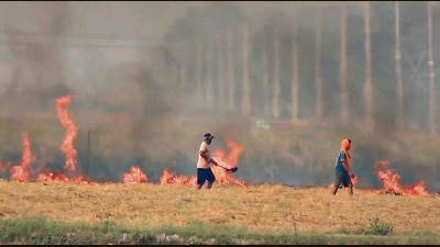 Farmers burning stubble,in Haryana's Kaithal. (PTI) Farmers burning stubble,in Haryana's Kaithal. (PTI)