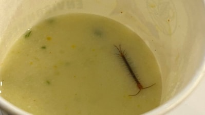 The Railways passenger found a live centipede floating in his raita. (X/@aaraynsh) The Railways passenger found a live centipede floating in his raita. (X/@aaraynsh)