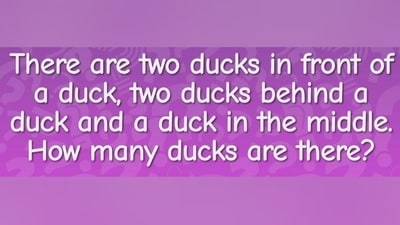 A riddle about ducks sparked lively debates online, challenging users to find the correct answer. (Threads/916_brandon) A riddle about ducks sparked lively debates online, challenging users to find the correct answer. (Threads/916_brandon)