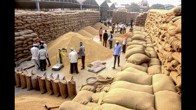 View of a grain market near Sirhind road, in Patiala on Tuesday. (PTI) View of a grain market near Sirhind road, in Patiala on Tuesday. (PTI)