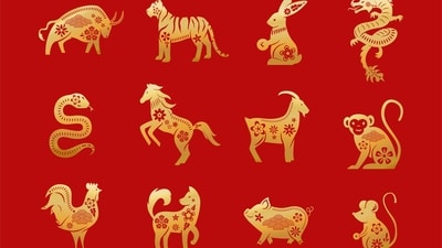 Read your weekly Chinese horoscope based on your zodiac sign. (Freepik)