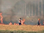 Farmers burning stubble in Haryana's Kaithal.