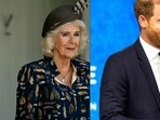 Camilla believes Harry is a 'wolf in sheep's clothing'