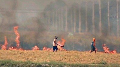 Farmers burning stubble in Haryana's Kaithal. (HT_PRINT) Farmers burning stubble in Haryana's Kaithal. (HT_PRINT)