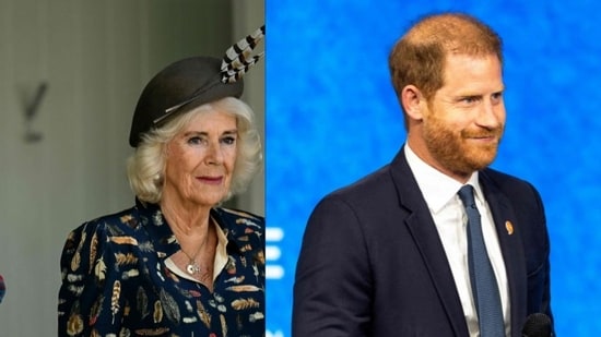 Camilla believes Harry is a 'wolf in sheep's clothing' ((Photo by ANDY BUCHANAN / AFP), (Photo by Alex Kent / GETTY IMAGES NORTH AMERICA / Getty Images via AFP))