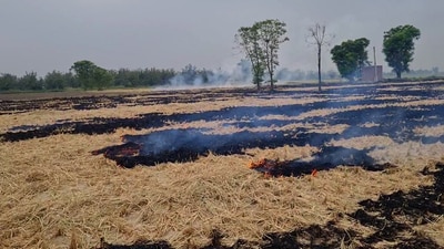Haryana on Thursday recorded six cases of farm fires taking the total number of cases to 686 this season. (ANI)