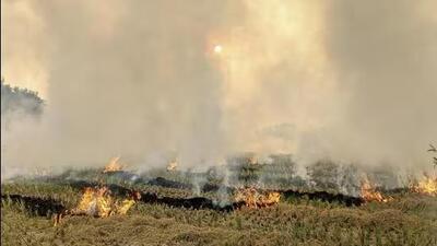 Ludhiana deputy commissioner Jitendra Jorwal urged officials to reach out to farmers and educate them on the benefits of stubble disposal techniques that promote better soil health using various farm equipment. (HT Photo)