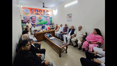 Tariq Hameed Karra got 16,687 votes whereas Muhammad Irfan Shah’s polled 4,449. (HT Photo) Tariq Hameed Karra got 16,687 votes whereas Muhammad Irfan Shah’s polled 4,449. (HT Photo)