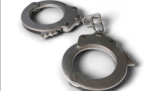 Police recovered 146 batteries and two RRUs worth around ₹1.7 crore in raids at their godowns. (Representative photo)