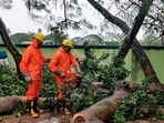 This photograph shared by National Disaster Response Force (NDRF) shows its personnel sawing fallen trees in Paradeep, in Jagatsinghpur district of Odisha where tropical storm Dana made landfall late Thursday night, This photograph shared by National Disaster Response Force (NDRF) shows its personnel sawing fallen trees in Paradeep, in Jagatsinghpur district of Odisha where tropical storm Dana made landfall late Thursday night,