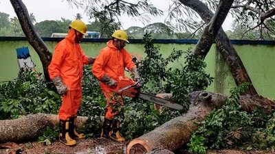 This photograph shared by National Disaster Response Force (NDRF) shows its personnel sawing fallen trees in Paradeep, in Jagatsinghpur district of Odisha where tropical storm Dana made landfall late Thursday night, (AP) This photograph shared by National Disaster Response Force (NDRF) shows its personnel sawing fallen trees in Paradeep, in Jagatsinghpur district of Odisha where tropical storm Dana made landfall late Thursday night, (AP)