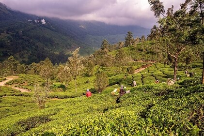 Munnar Munnar