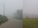 Photos capturing misty mornings in Bengaluru on Saturday morning.