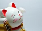 Read your weekly Chinese horoscope based on your Chinese zodiac sign. Read your weekly Chinese horoscope based on your Chinese zodiac sign.