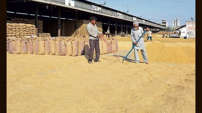 Punjab cabinet minister Tarunpreet Singh Sond said the processes of procurement, lifting and payments are running smoothly. (Manish/HT) Punjab cabinet minister Tarunpreet Singh Sond said the processes of procurement, lifting and payments are running smoothly. (Manish/HT)