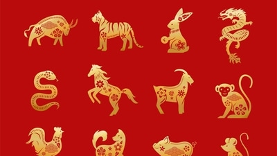 Read your weekly Chinese love horoscope based on your zodiac sign. (Freepik) Read your weekly Chinese love horoscope based on your zodiac sign. (Freepik)