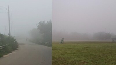Photos capturing misty mornings in Bengaluru on Saturday morning. (X)