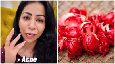 In the reel, Suman spoke about the weight loss and skin glowing benefits of javitri. (Instagram/@suman_sunshine, Unsplash) In the reel, Suman spoke about the weight loss and skin glowing benefits of javitri. (Instagram/@suman_sunshine, Unsplash)