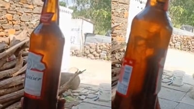 Two men claimed they found a lizard in a Budweiser beer bottle purchased in Telangana. (X/@ArbaazTheGreat1) Two men claimed they found a lizard in a Budweiser beer bottle purchased in Telangana. (X/@ArbaazTheGreat1)