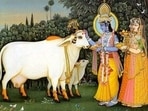 Govatsa Dwadashi honours the sacred bond between humans and cows.(Pinterest)