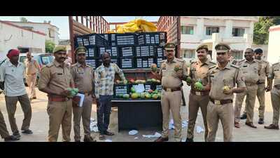 Police have seized a full load of off-season mangoes (HT)