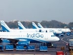 Indigo shares plunged to a low of <span class='webrupee'>₹</span>3,778.50 during today's trading session, which was 13% into the red. Indigo shares plunged to a low of <span class='webrupee'>₹</span>3,778.50 during today's trading session, which was 13% into the red.
