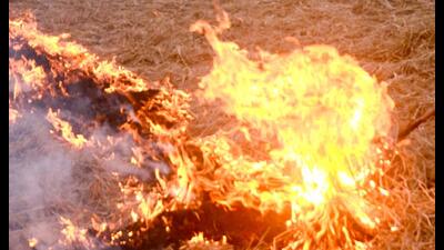 713 farm fire cases (till October 27) have been recorded by the Indian Council of Agricultural Research. (ANI) 713 farm fire cases (till October 27) have been recorded by the Indian Council of Agricultural Research. (ANI)