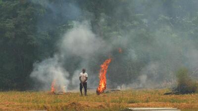 From September 15 to October 27, Punjab has seen 1,995 farm fire cases as compared to 4,059 in the corresponding period last year, according to data from the Punjab Remote Sensing Centre. (HT file photo)