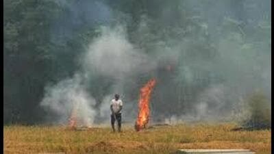 From September 15 to October 28, Punjab recorded 2,137 farm fire cases as compared to 4,186 during the corresponding period last year, according to PPCB data. (HT File)
