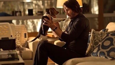 John Wick goes on a rampage after the puppy gifted to him by his late wife is killed. (Lionsgate) John Wick goes on a rampage after the puppy gifted to him by his late wife is killed. (Lionsgate)