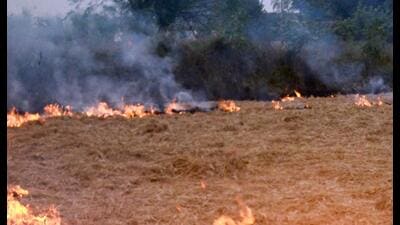 The total number of stubble burning cases in Haryana has reached 726. (ANI)