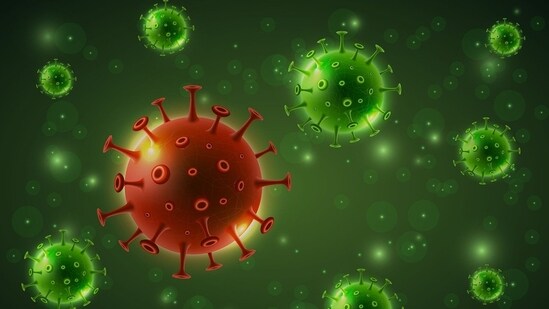 Groundbreaking discovery of stem-like CD4 T cells offers hope for cancer immunotherapy (Pixabay)