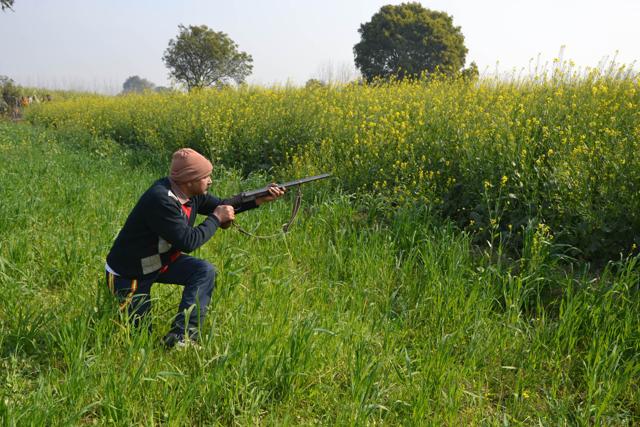 Looking for a leopard that had wandered too close to a village in Ghaziabad. (Sakib Ali/HT Photo)