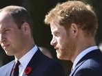 With Prince William addressing homelessness and Prince Harry exploring the world of polo through their individual production company.