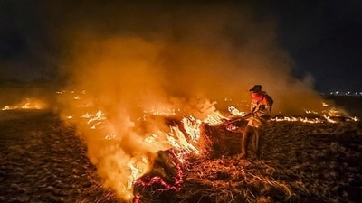 A farmer burns stubble after a harvest at a paddy field, on the outskirts of Amritsar. (PTI) A farmer burns stubble after a harvest at a paddy field, on the outskirts of Amritsar. (PTI)