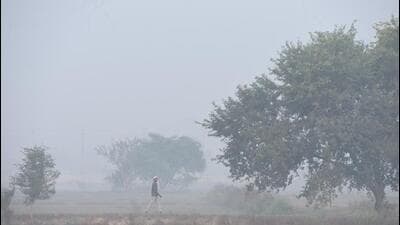 A man walks through a farmland on a hazy Monday in Ghaziabad. (Sakib Ali/ HT Photo)