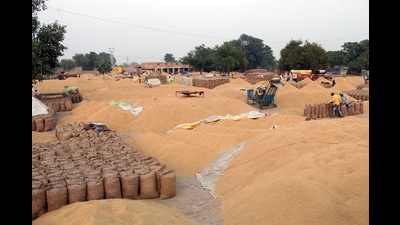 AAP’s state general secretary and Mandi Board chairman Harchand Singh Barsat also criticised the Centre, claiming that it was not listening to the demands of sheller owners and refusing to lift millions of tonnes of grains piled up in mandis. (SANJEEV KUMAR/HT) AAP’s state general secretary and Mandi Board chairman Harchand Singh Barsat also criticised the Centre, claiming that it was not listening to the demands of sheller owners and refusing to lift millions of tonnes of grains piled up in mandis. (SANJEEV KUMAR/HT)