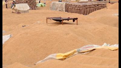According to officials, a close watch is being kept on the entire procurement process.